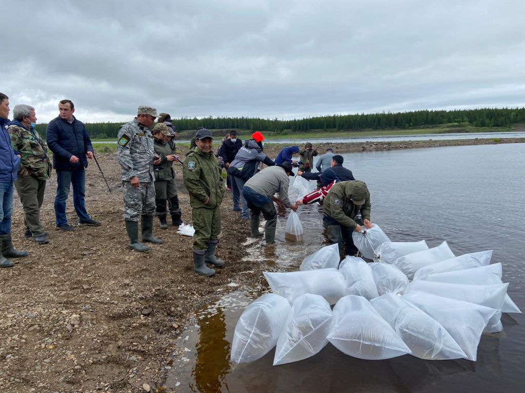 Экология завтрашнего дня: как АЛРОСА инвестирует в «зеленые» проекты