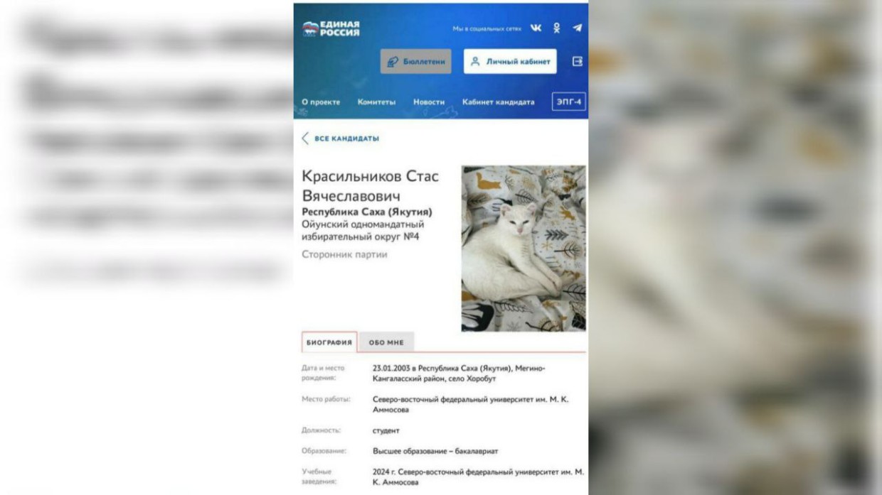 Праймериз «Единой России» в Якутии: кандидата, опубликовавшего фото кота, исключили из предвыборной гонки