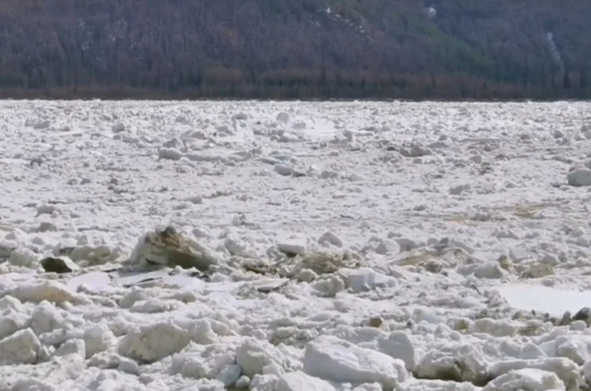 Паводок в Якутии. На реке Лене подвижка льда у Покровска ожидается сегодня