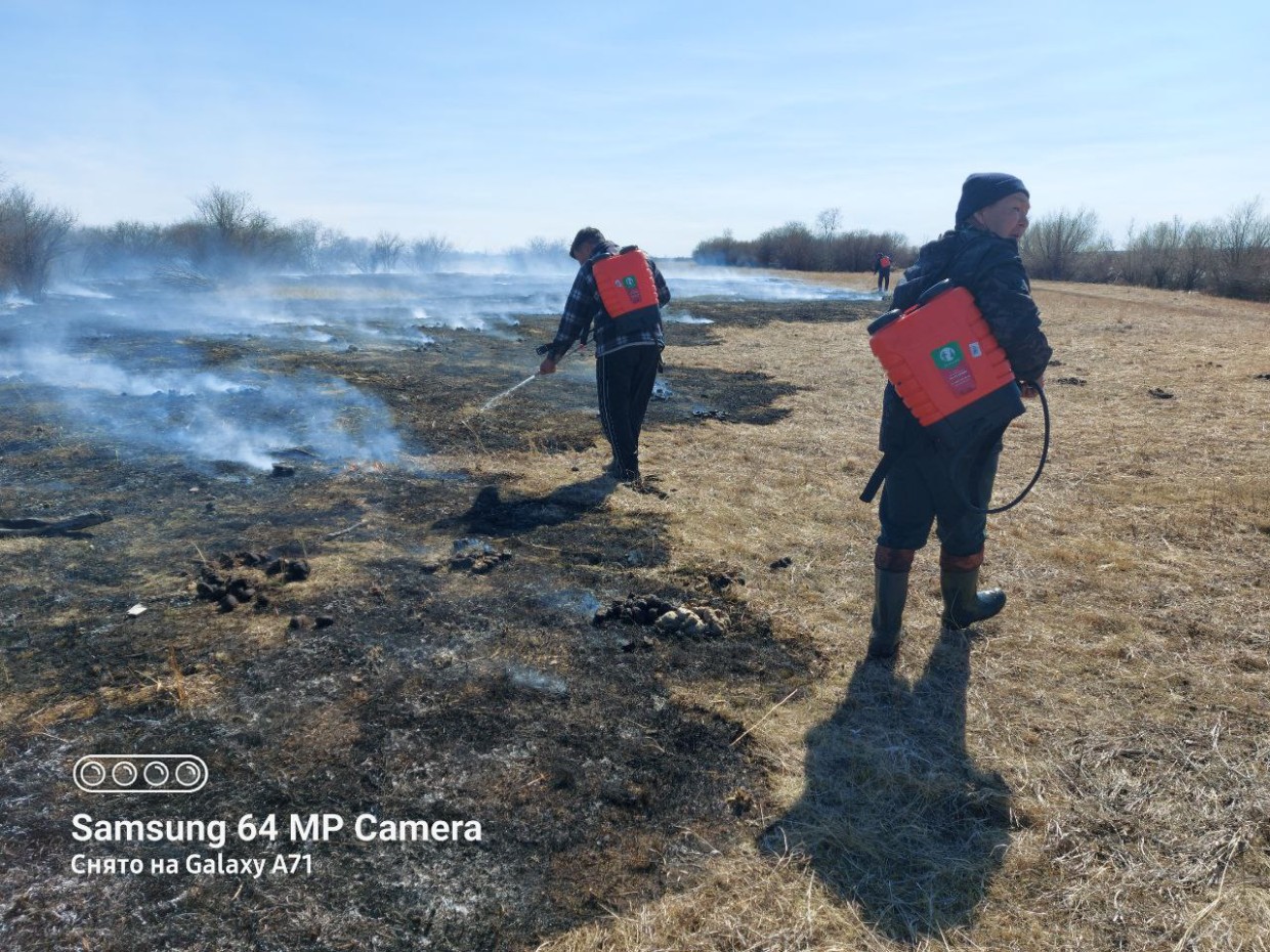 За неделю на территории городского округа зафиксировано 13 случаев горения сухой травы