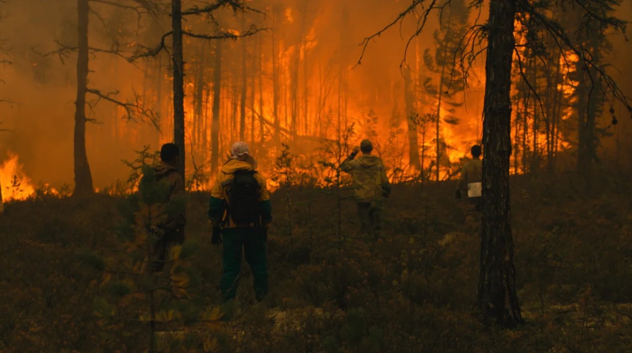Режиссер фильма «Рай» — о культуре саха, колониализме и лесных пожарах в Якутии