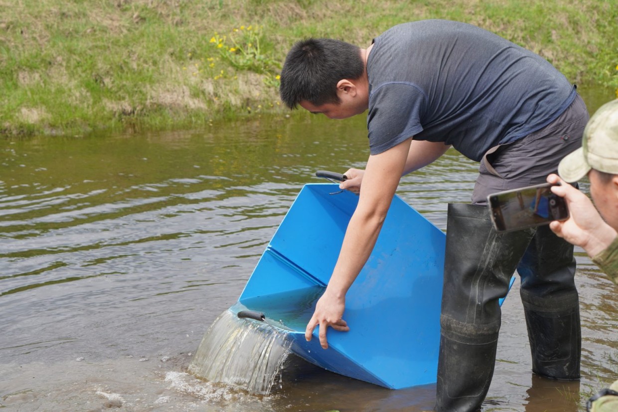 «Водоканал» выпустил мальков щуки в реку Лену