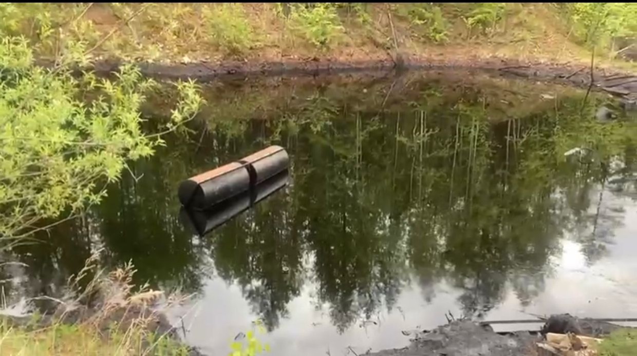 Депутат от «Единой России»: хоть доступа к загрязненному озеру нет, я решу проблему — возьму ее под личный контроль