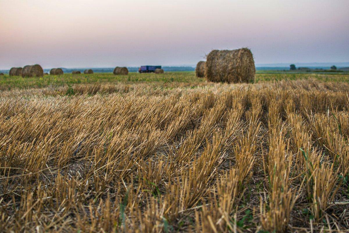 Самую урожайную землю в Якутии определили по результатам мониторинга сельхозугодий