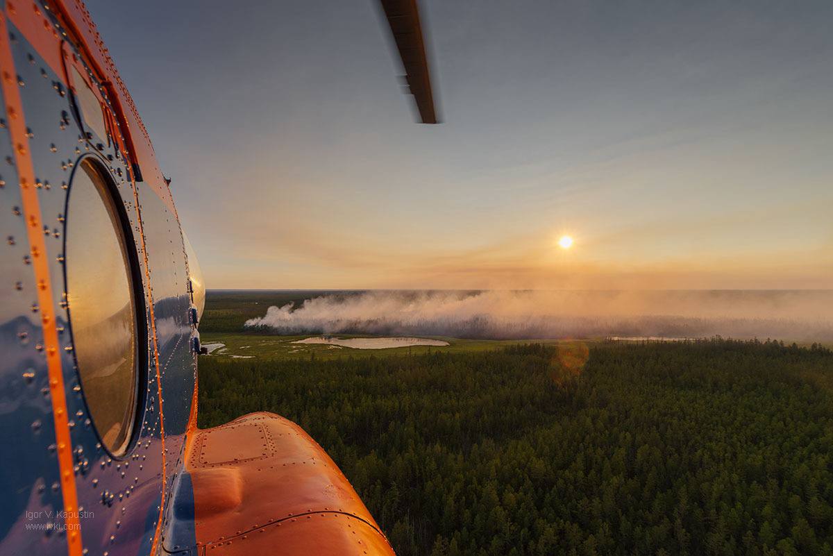 Недропользователей обязывают тушить лесные пожары в Якутии