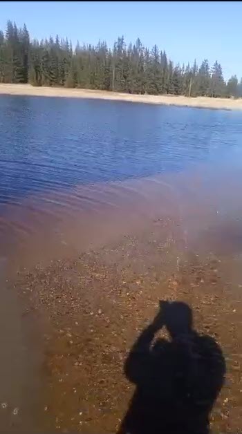 Фотофакт: в Сунтарском улусе подтопило дорогу