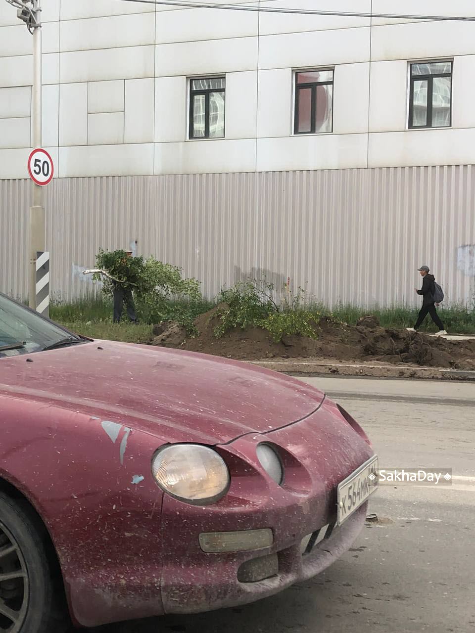 МВД проводит проверку по поводу вырубки молодых берез возле Технопарка в Якутске