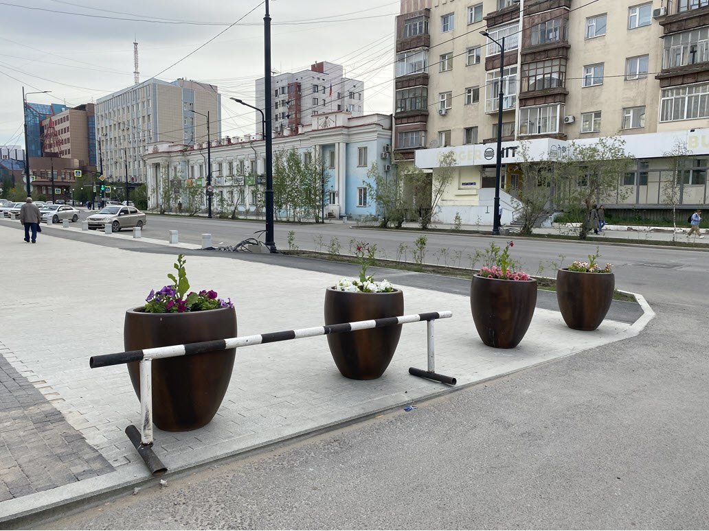 В мэрии Якутска призвали на помощь дендрапланериста