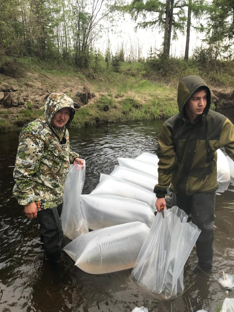 Экологи Nordgold провели очередной этап зарыбления водоёмов Якутии