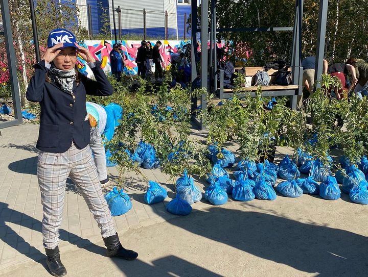 В мэрии Якутска признались в несанкционированном скосе кустарников