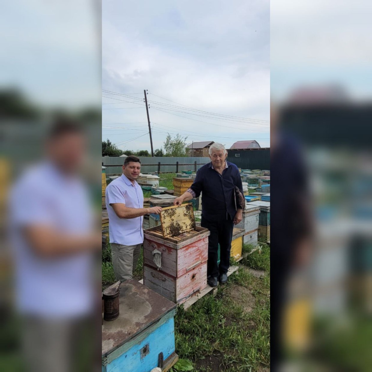 Пчеловодам Якутии нужна поддержка правительства