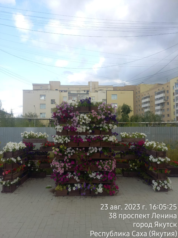 Мэрия Якутска переставит цветочные клумбы с пешеходной зоны