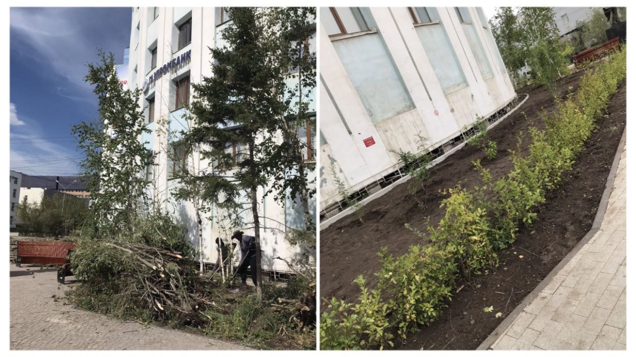 Об озеленении Якутска: срубили деревья, чтобы посадить три кустика