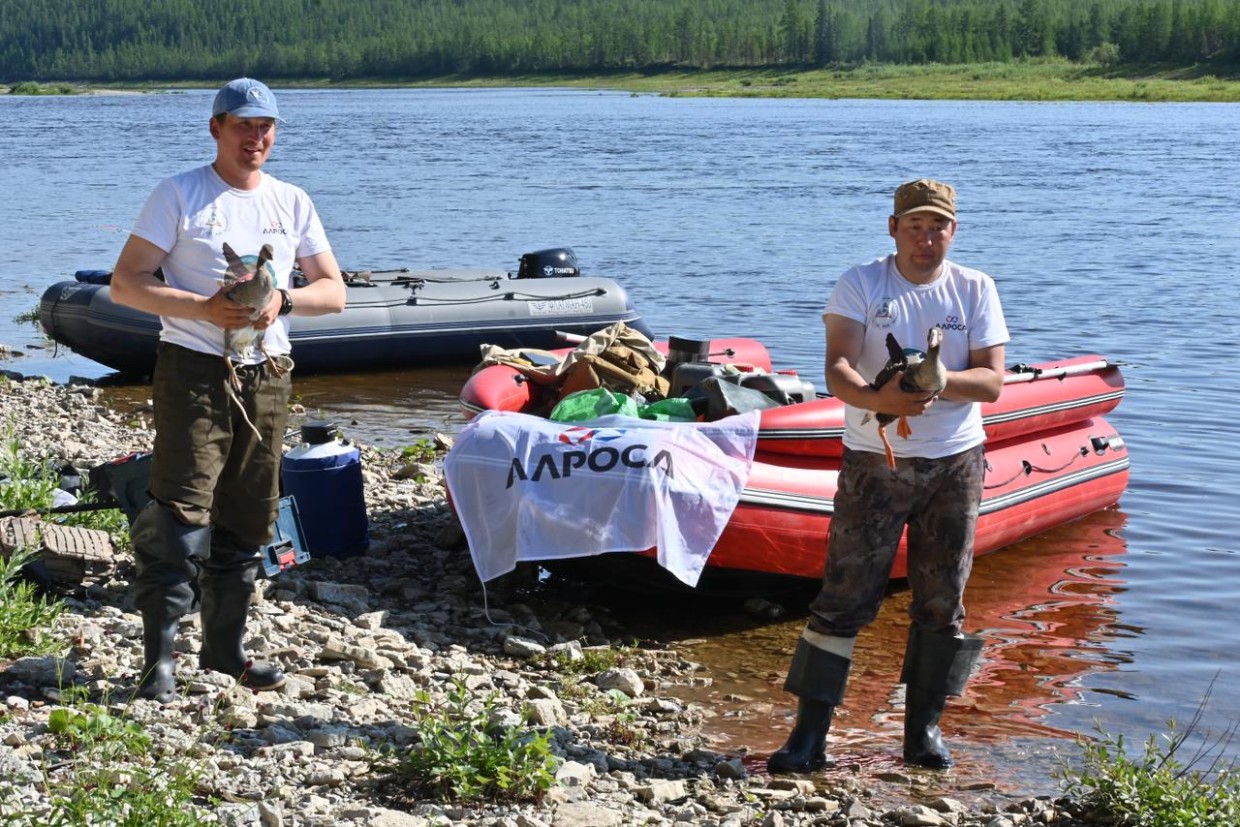 В защиту животных: АЛРОСА помогает сохранить редкий вид птиц