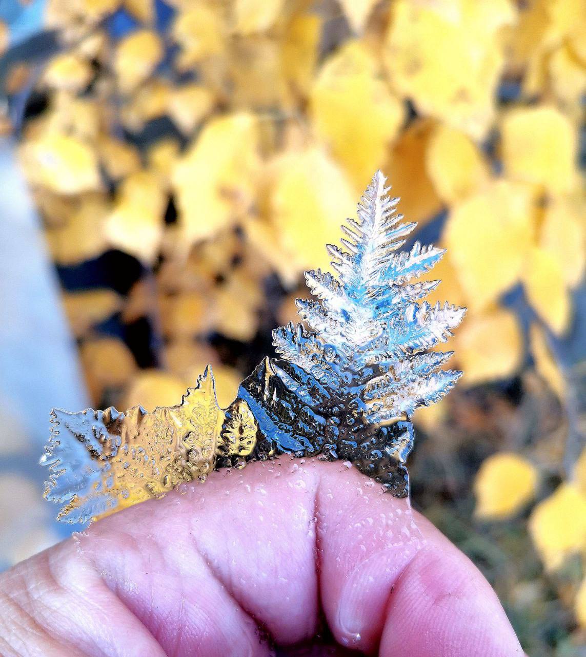 В Якутии в ближайшие дни ожидаются температурные аномалии