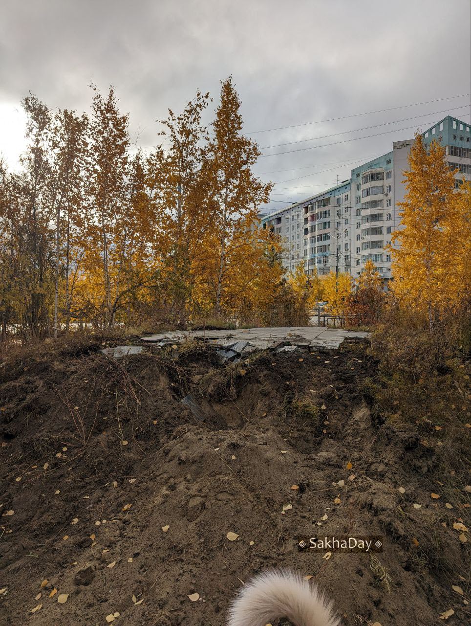 ТАСС: Причину демонтажа памятника ссыльным и репрессированным полякам якутские власти пока не объяснили
