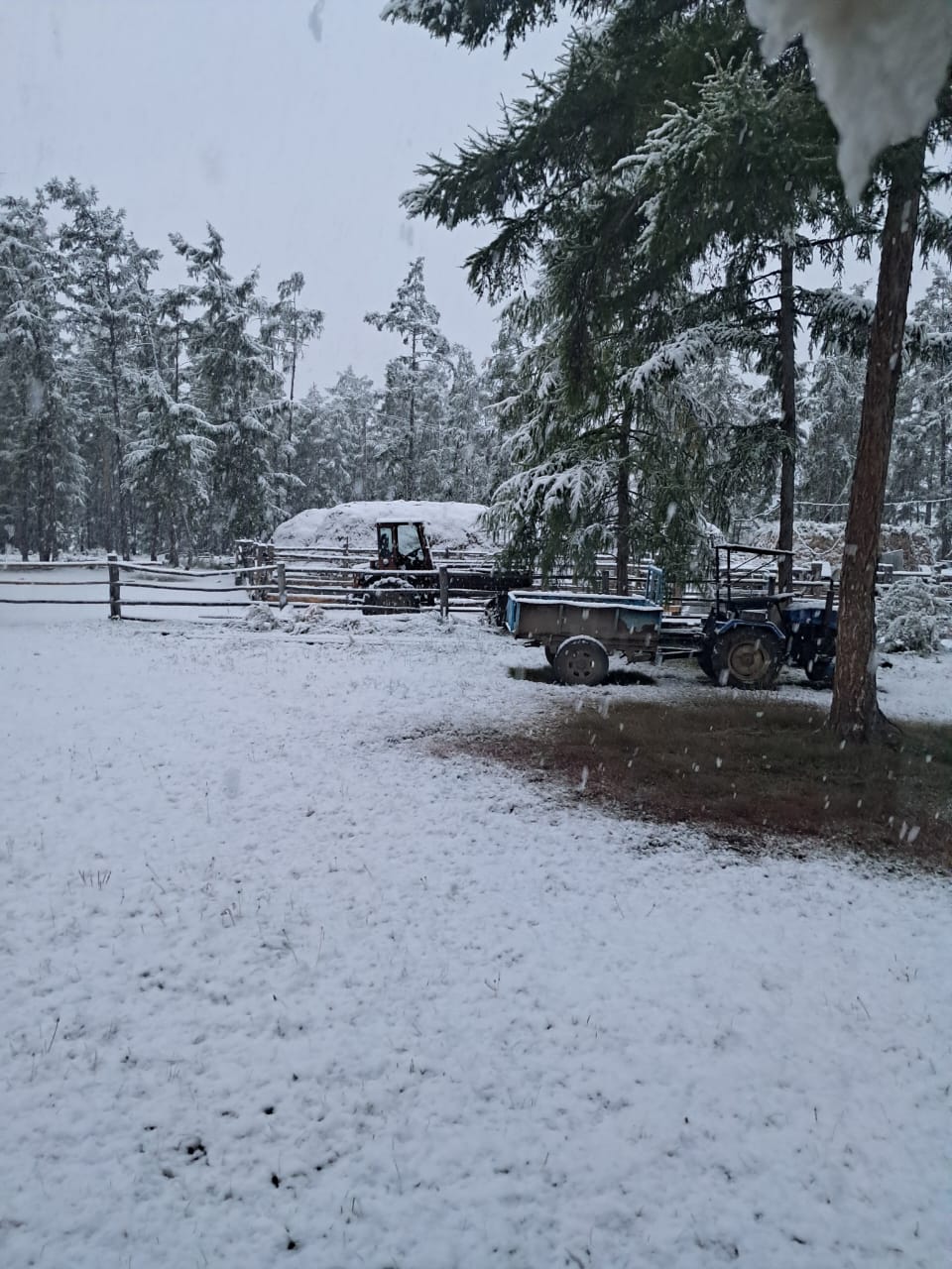 Выпал первый снег в Якутии