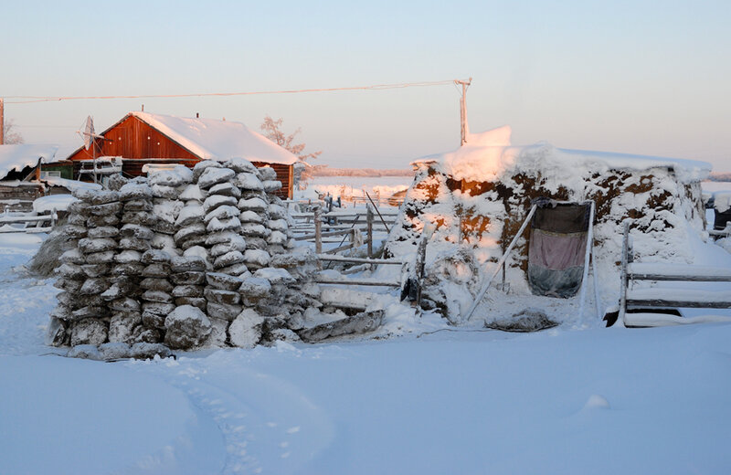 Штрафы за неправильное обращение с навозом составят около 400 тысяч рублей. Якутский чиновник бьет тревогу