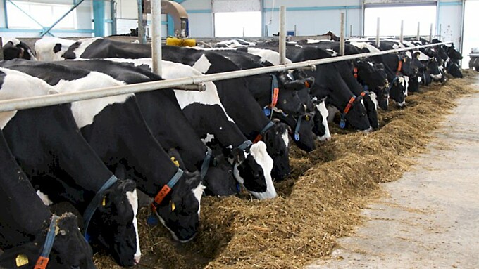 Российские аграрии защитили урожай и животных на 13,2 млрд рублей в СберСтраховании