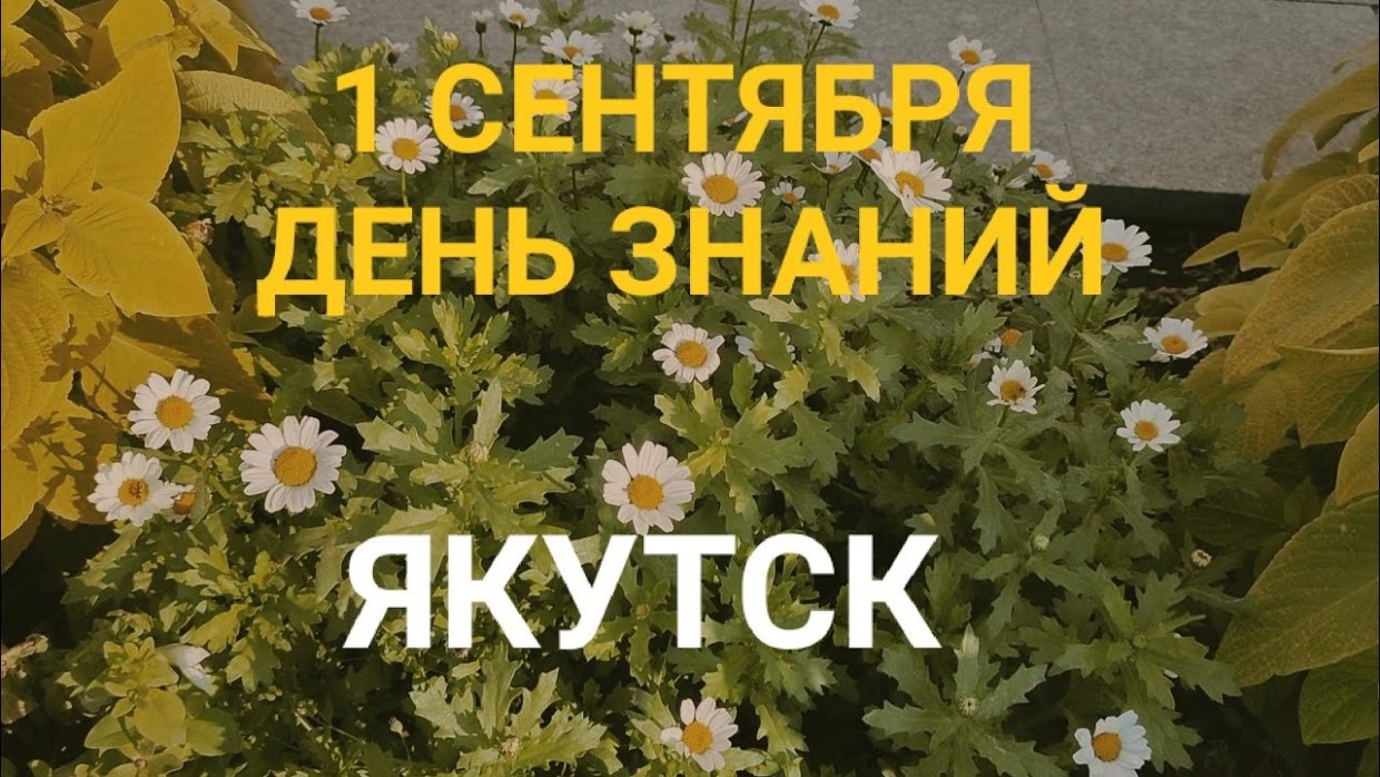 Роспотребнадзор по Якутии в преддверии нового учебного года предупредил о педикулезе