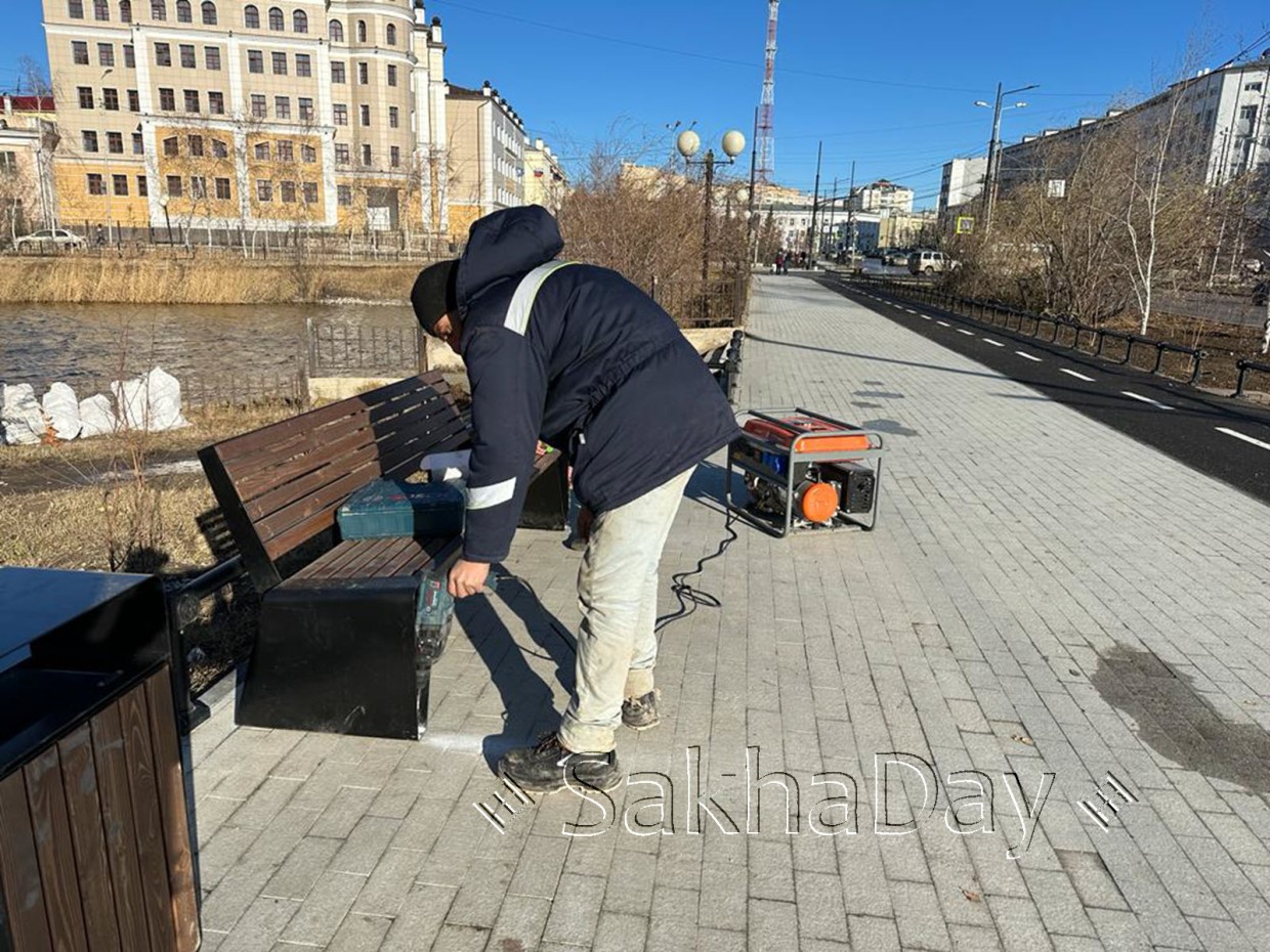 Фотофакт: По проспекту Ленина началась установка скамеек
