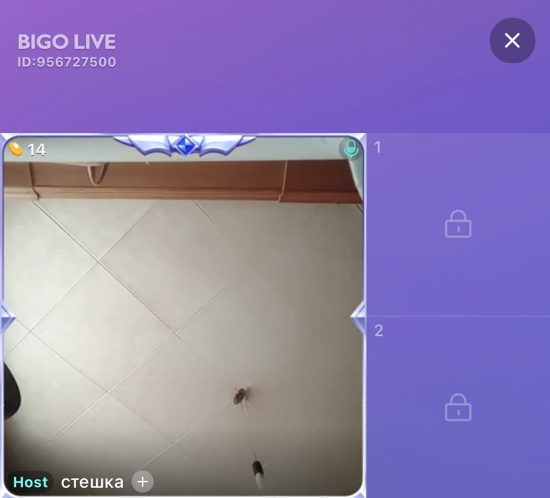 В Якутске скончалась блогер «Bigo live»