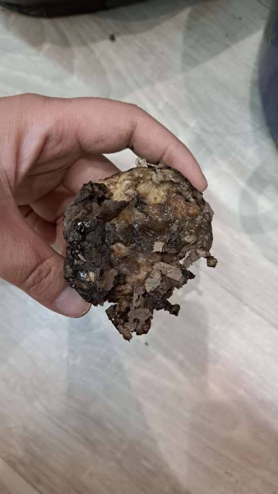 В Якутске семье участника СВО доставили гнилые овощи, хранившиеся две недели в здании Управы