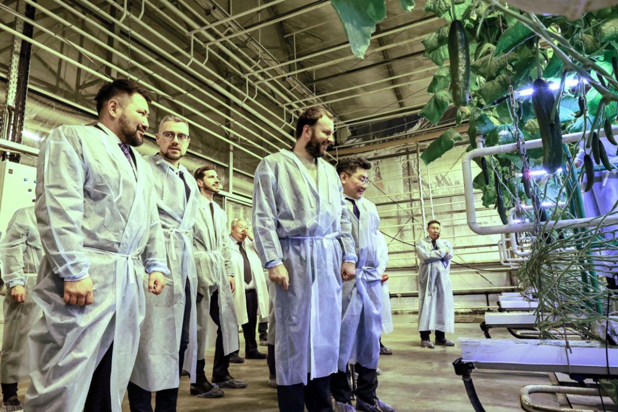 Максиму Орешкину и Алексею Чекункову опять показали теплицу «Саюри» в Якутске