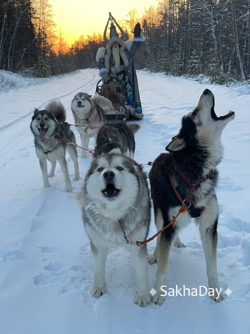 В Якутске раскрыта тайна новогодних волшебников на упряжке: «Мы ехали к детям!»