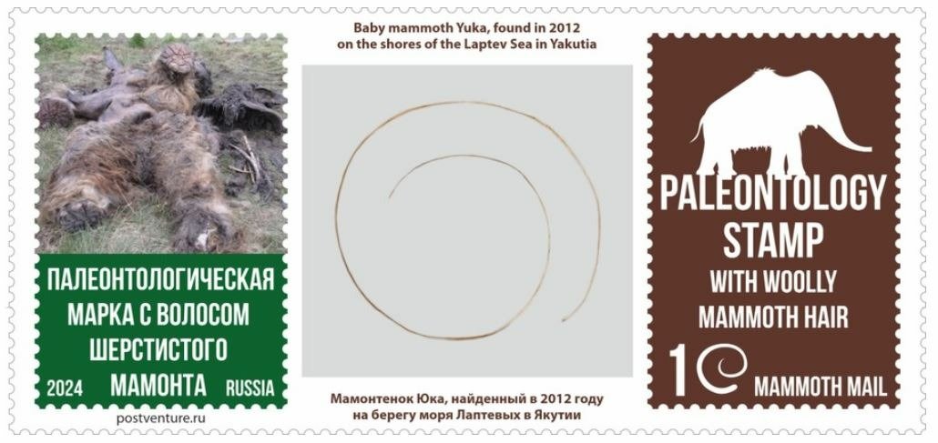 В Якутии выпустили первую в мире марку с волосом мамонта
