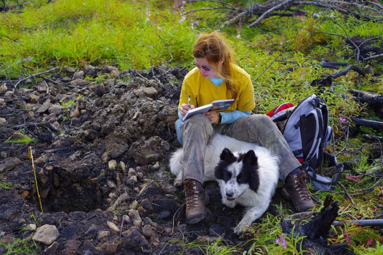 Спрос на геологов в Якутии вырос в два раза