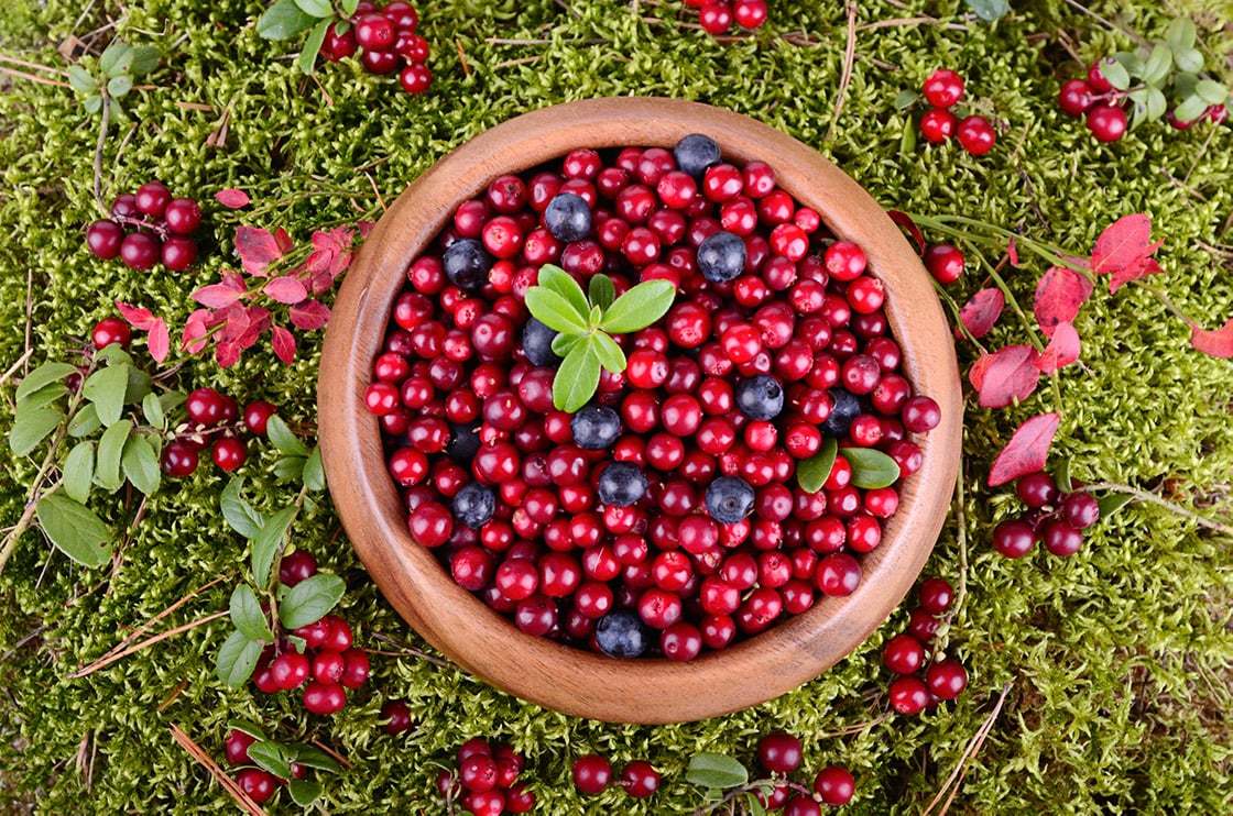 Якутия планирует экспортировать продукцию из оленины, жеребятины, меда и дикоросов