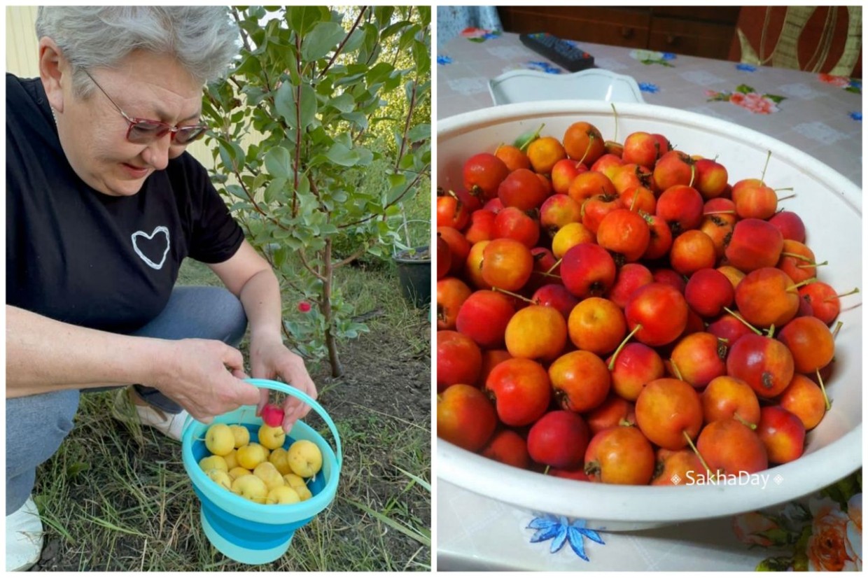 Пенсионерка из Якутии пошла учиться на агронома и стала «Студентом года – 2024»