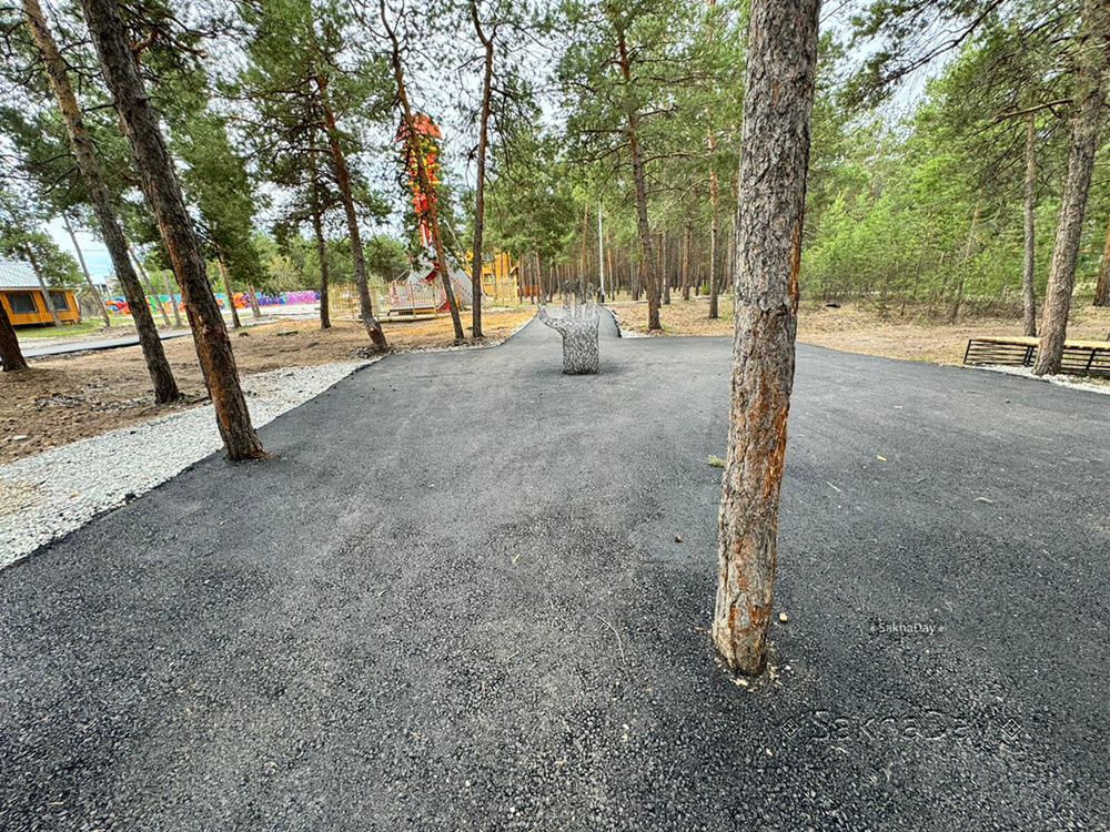 Фотофакт: В единственном парке Якутска деревья полностью залили асфальтом
