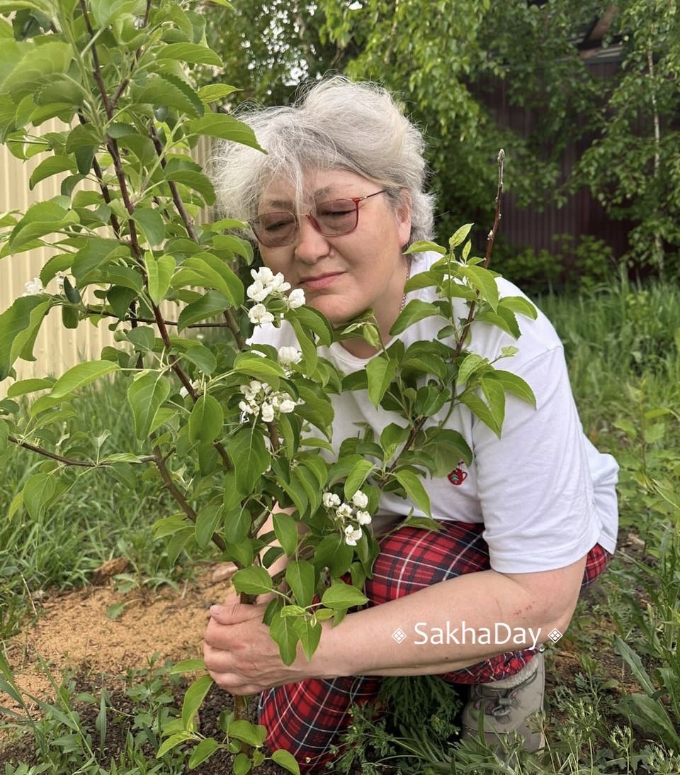 Как выбрать саженцы и посадить  в открытый грунт? Советы садовода