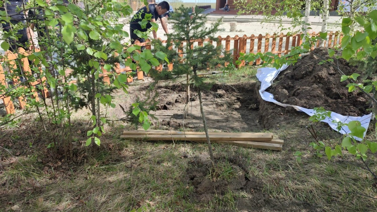«Одно делают, другое – ломают». В палисаднике музея в Старом городе раскопали зеленый уголок