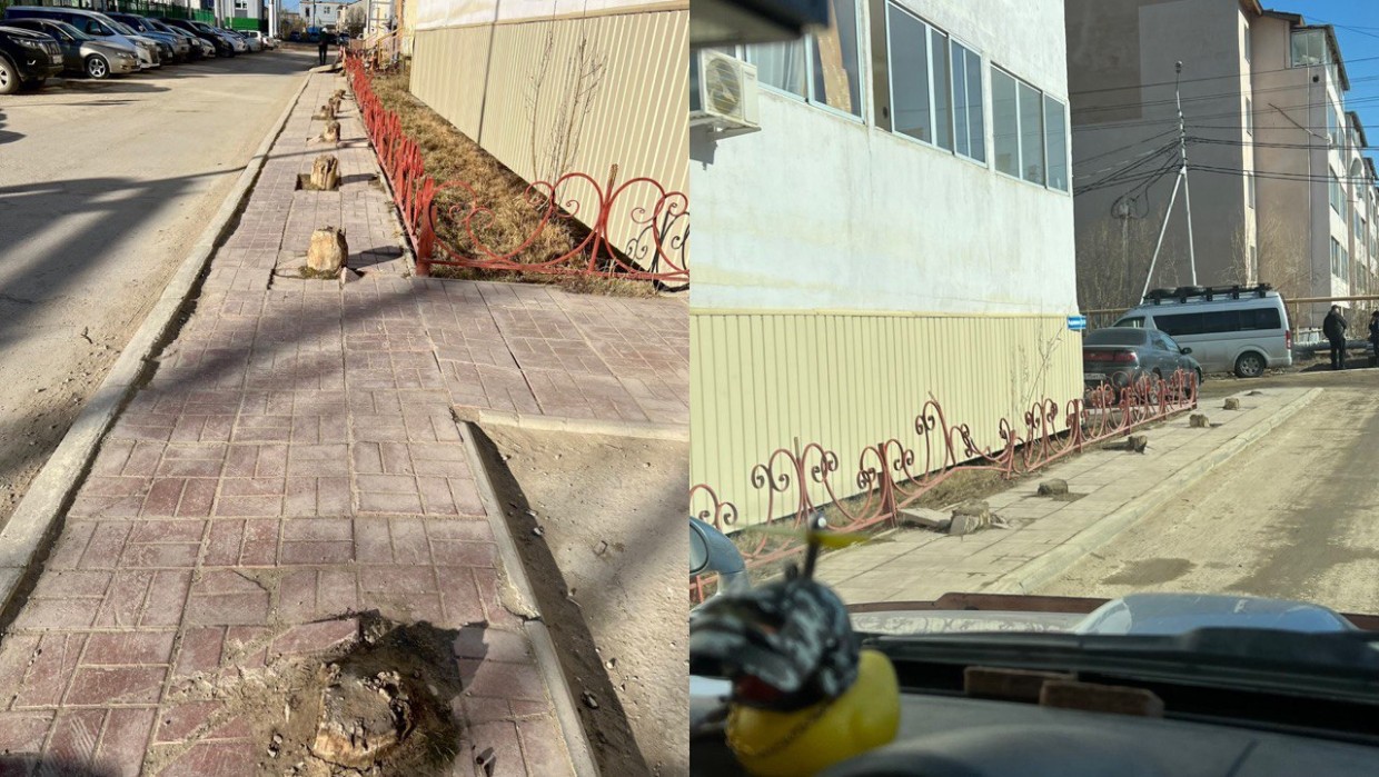 В Якутске пеньки на тротуаре за год выросли