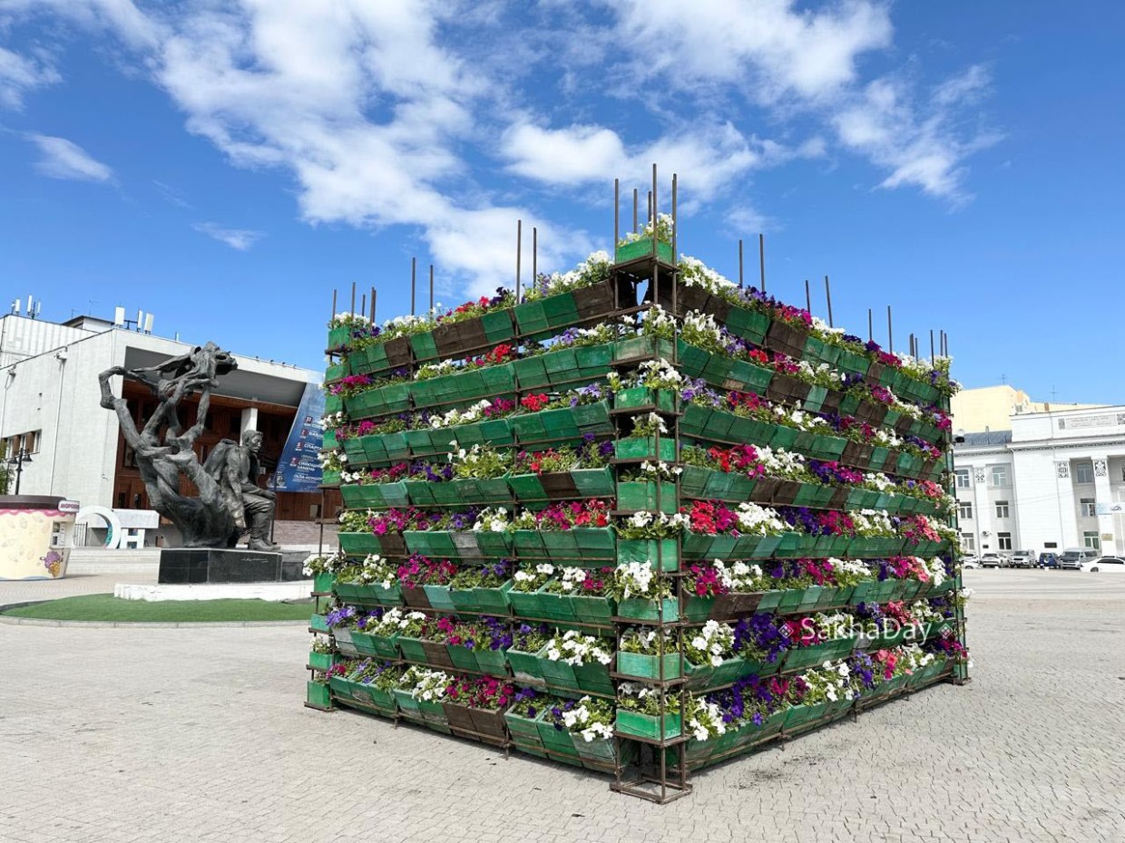 Пикеты скандального озеленителя дали результат? "Захаровки" появились на площади Дружбы