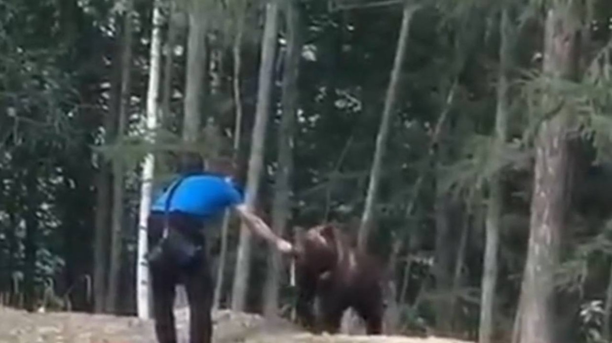 В Департаменте охотничьего хозяйства Якутии посмотрели ролик, где мужчина кормит с рук медведя. «Это обратная сторона героизма», — заявили охотоведы