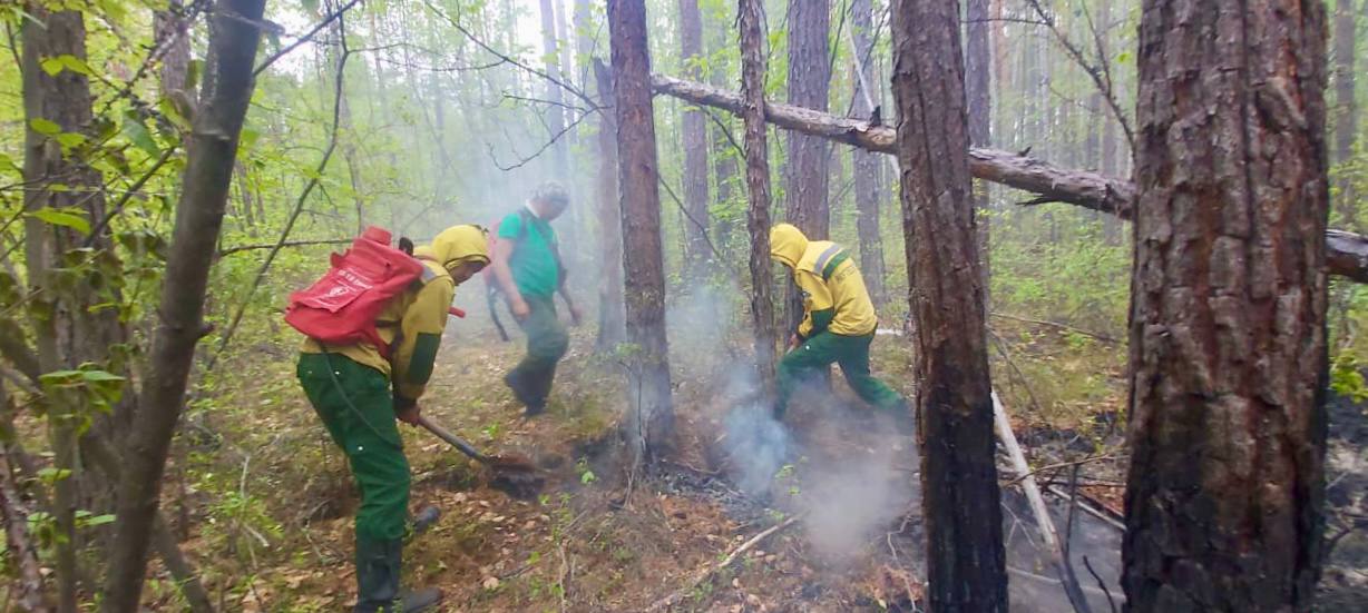 В Якутии действуют 146 лесных пожаров в 18 улусах