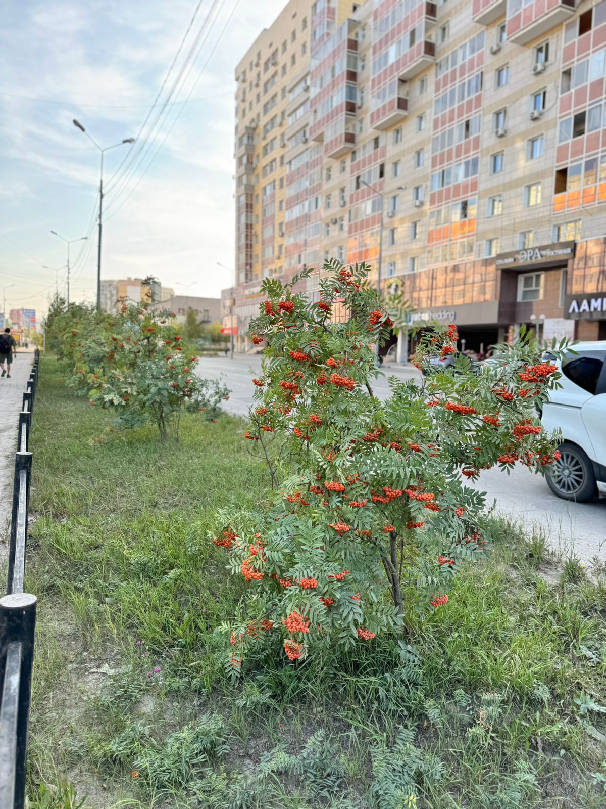 Синоптики в Якутске дали прогноз погоды на День знаний — 2 сентября