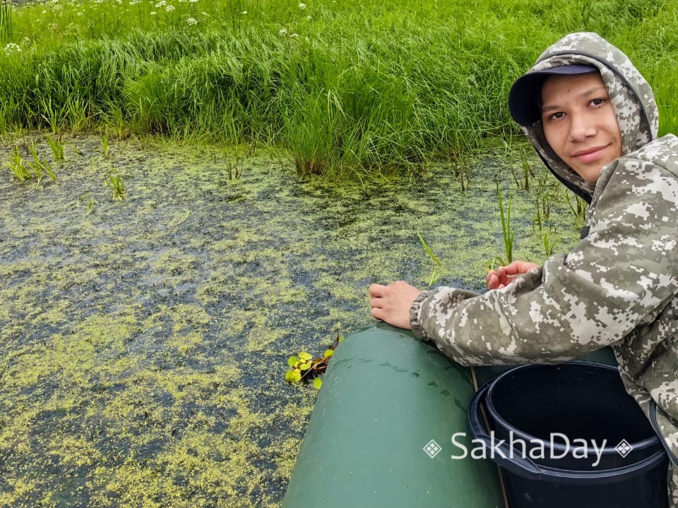 «Научный прорыв!» Как в Амге очищают озеро с помощью тропического водного растения