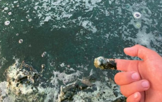 В Якутии выяснят причину загрязнения озера Нидили: «Скорее всего это цветение водоросли»