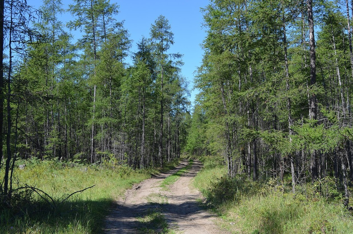 В Чурапчинском улусе потерялся мужчина