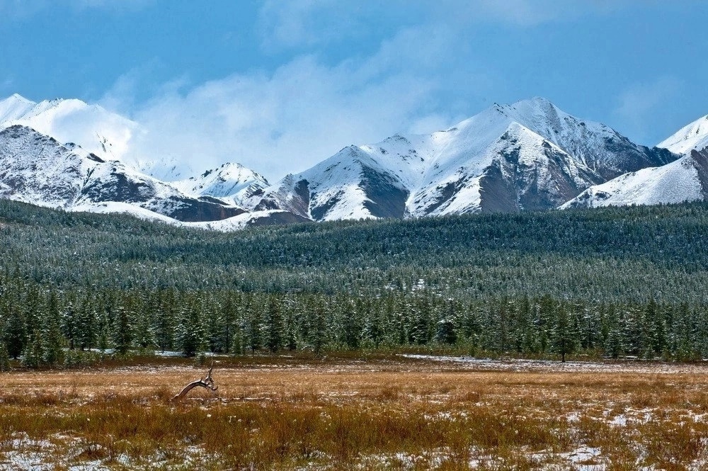 В горах Якутии нашли записку туристов из Казахстана, оставленную 40 лет назад