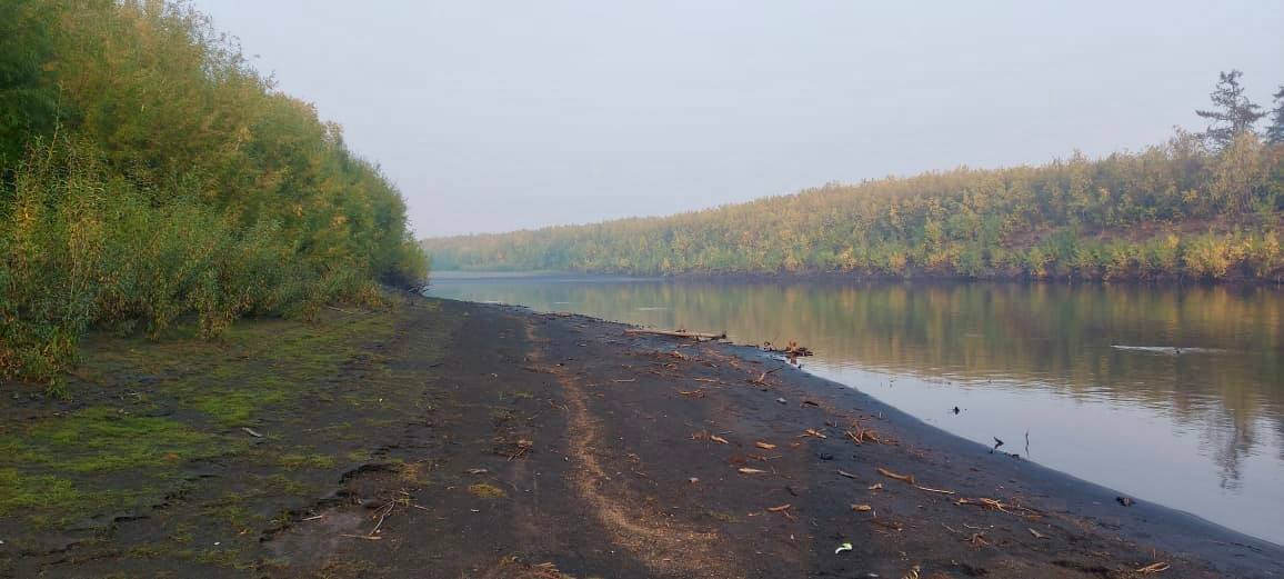 В Якутии депутат ответит за незаконную охоту в состоянии опьянения. Он застрелил лося