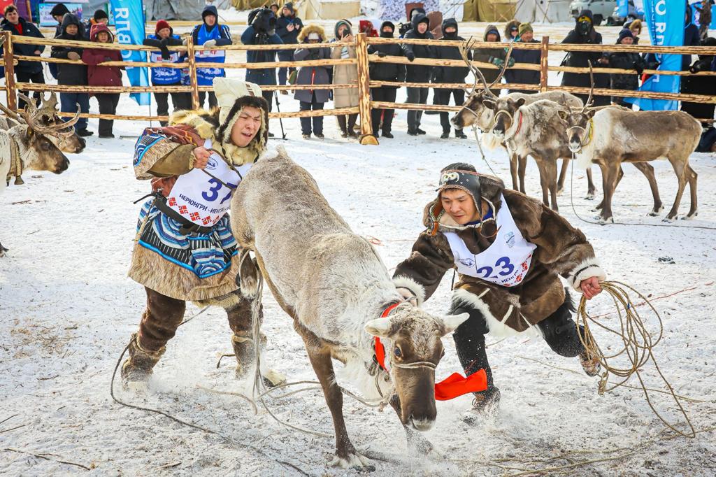 В Якутии состоится IV съезд оленеводов республики. Программа съезда