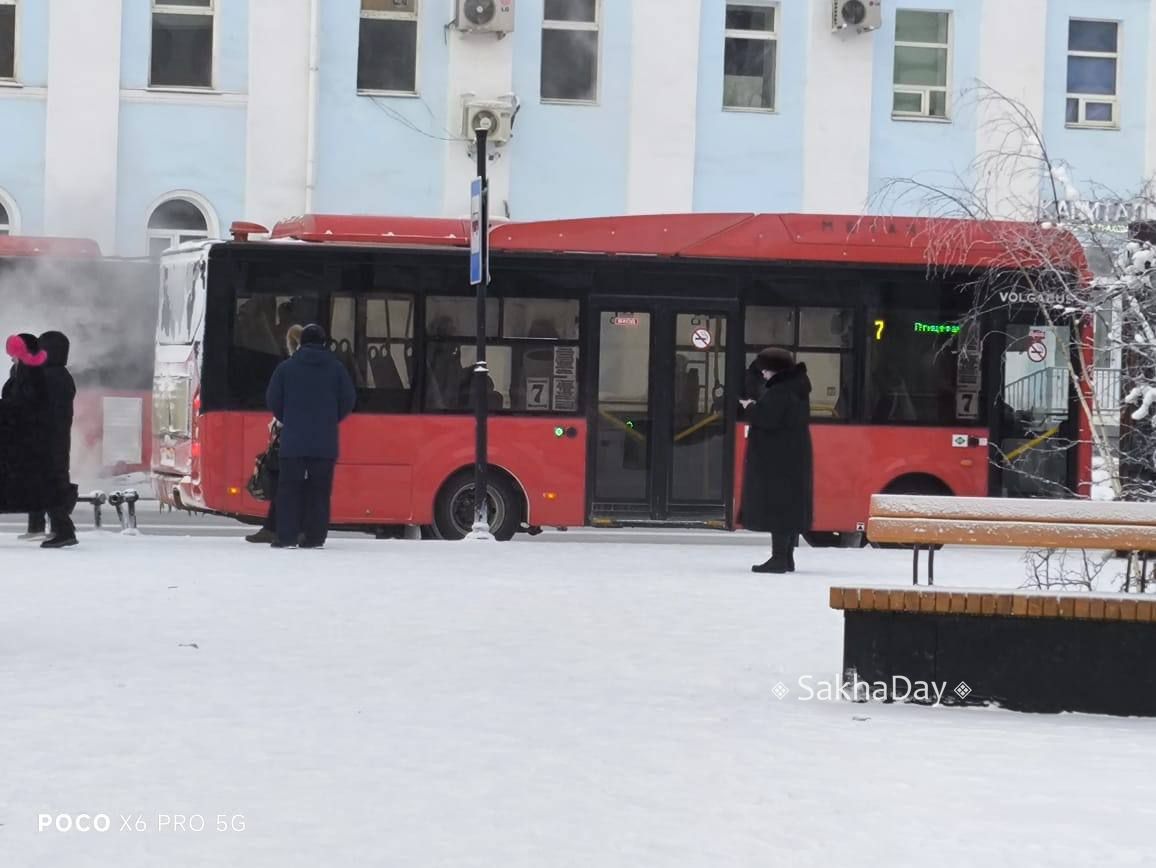 «Наконец-то люди пошли в водители автобусов!»