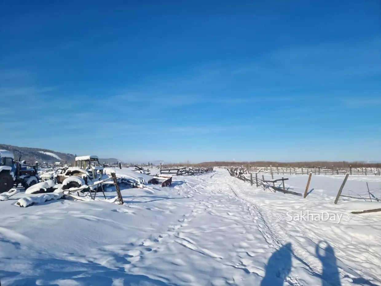 Прокуратура отменила отказ МВД по делу о земельных участках в зоне строительства Ленского моста