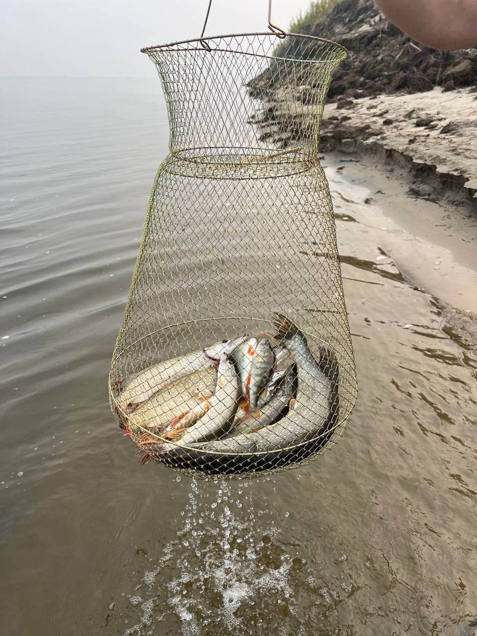 В России утвердили новые правила надзора в рыболовстве